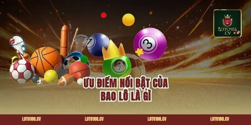 Ưu điểm nổi bật của bao lô là gì
