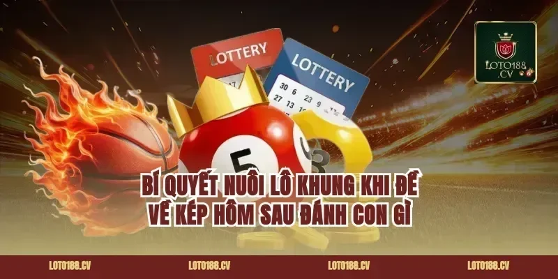 Bí Quyết Nuôi Lô Khung Khi Đề Về Kép Hôm Sau Đánh Con Gì