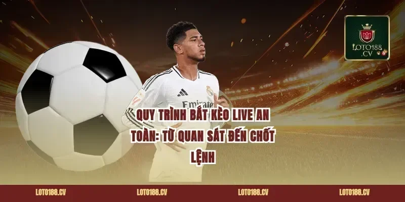 Quy trình bắt kèo live an toàn: từ quan sát đến chốt lệnh