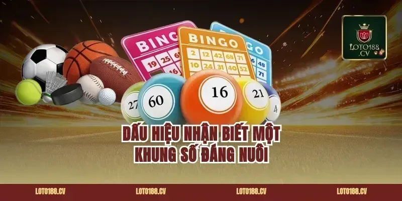 Dấu hiệu nhận biết một khung số đáng nuôi