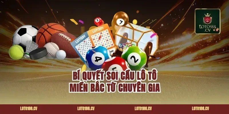 Bí Quyết Soi Cầu Lô Tô Miền Bắc Từ Chuyên Gia