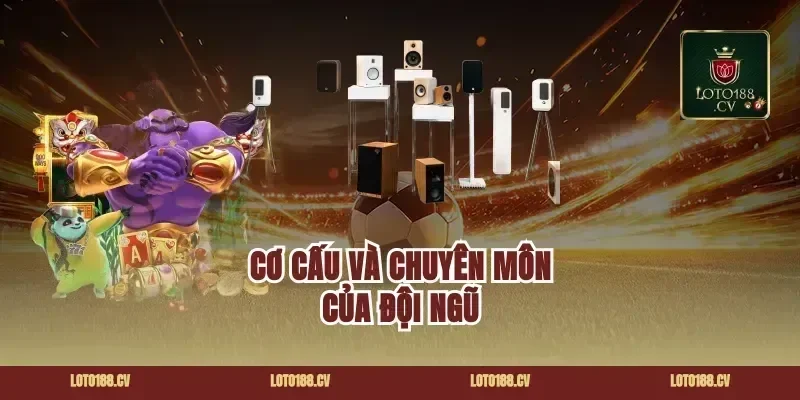 Cơ Cấu Và Chuyên Môn Của Đội Ngũ