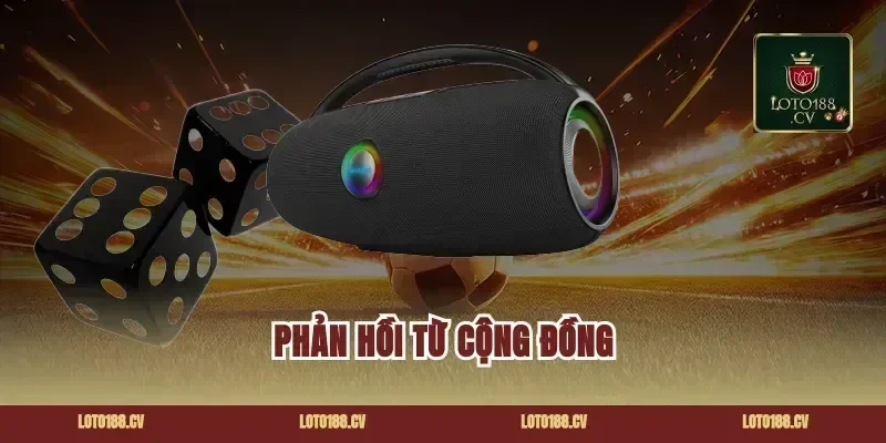 Phản Hồi Từ Cộng Đồng